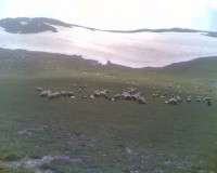 /album/resim-galerisi/a1377630-410141365778183-181052882-n-jpg/