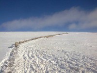 /album/resim-galerisi/a1379588-410141219111531-1907235999-n-jpg/