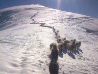 /album/resim-galerisi/a1383031-410141069111546-1112448467-n-jpg/