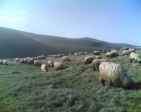 /album/resim-galerisi/a1385960-410141322444854-44414620-n-jpg/