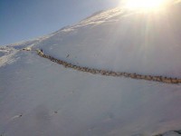 /album/resim-galerisi/a1395265-410140972444889-51660710-n-jpg/